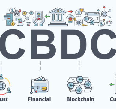 Central Bank Digital Coin (CBDC)