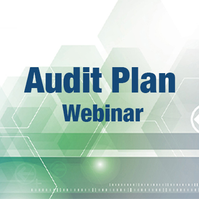 Audit Plan Webinar shop