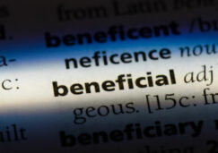 BOI Beneficial ownership access safeguards BOI Acceso y Salvaguardas